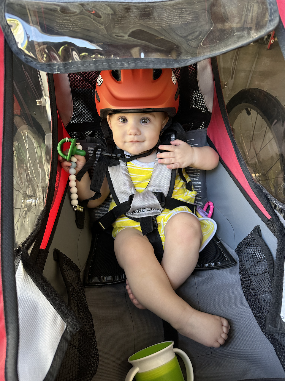 Zoe in her bike trailer.