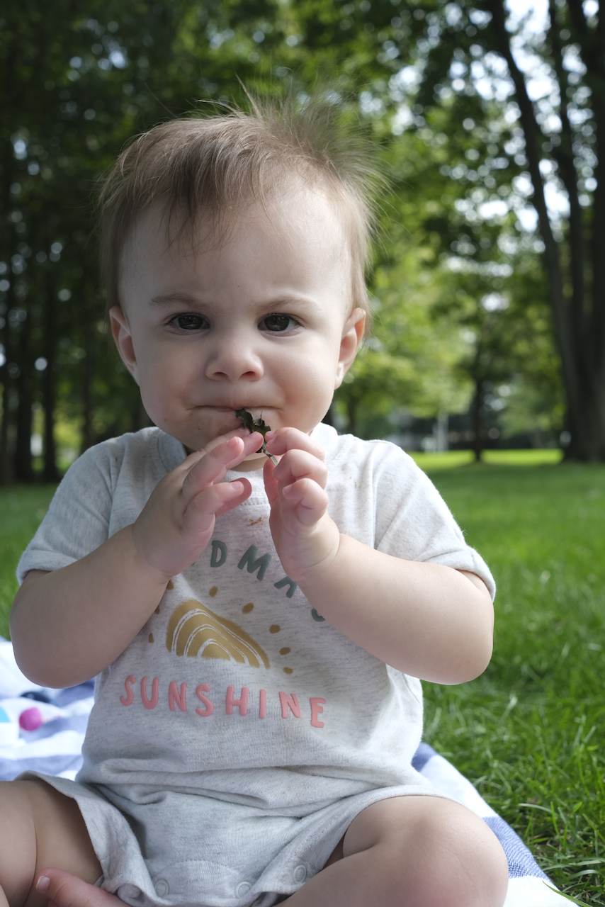 Zoe chomping on a leaf.